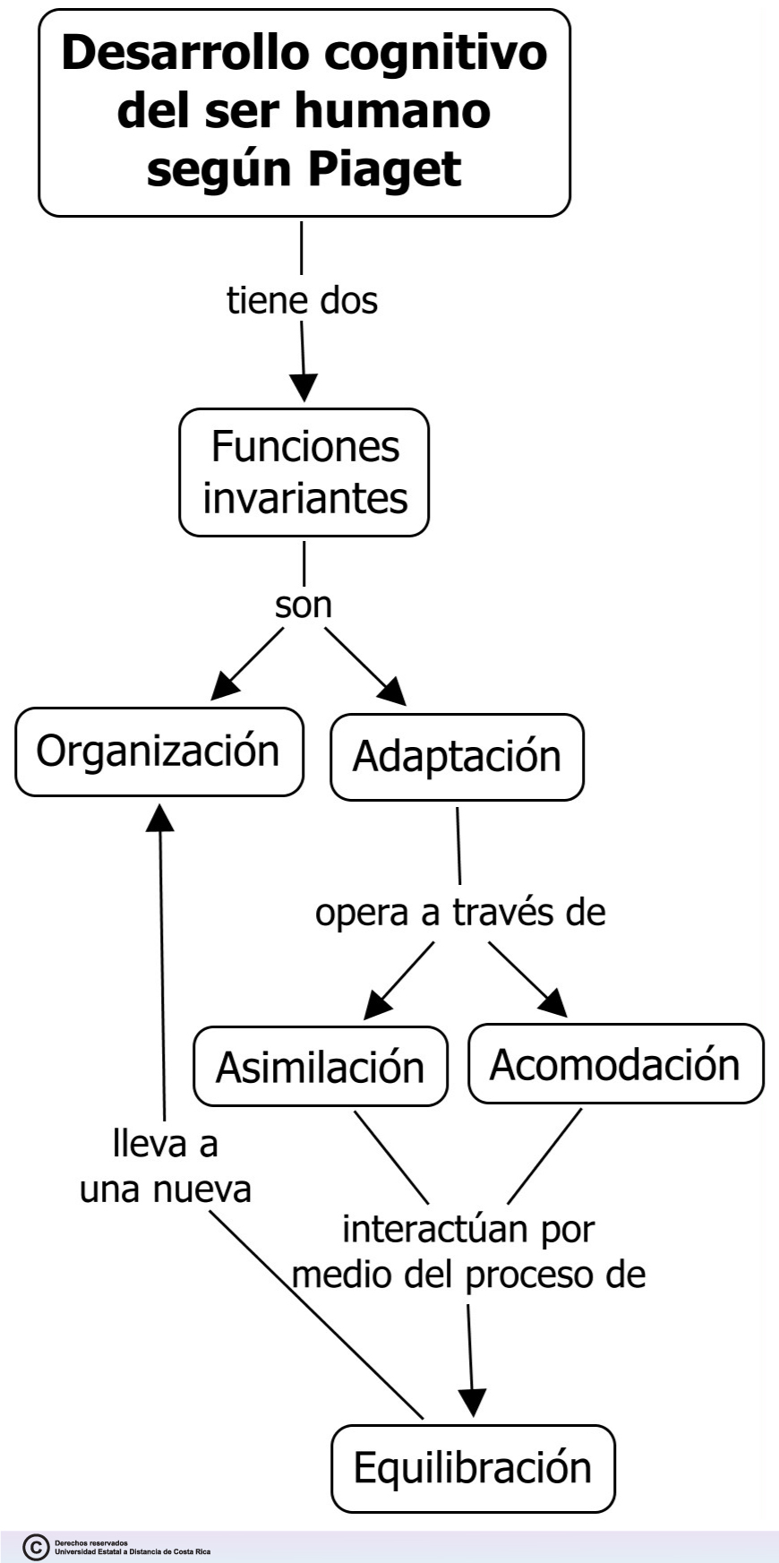 Procesos de desarrollo cognitivo seg n Piaget